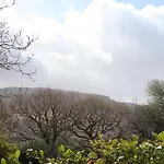 Rowantree